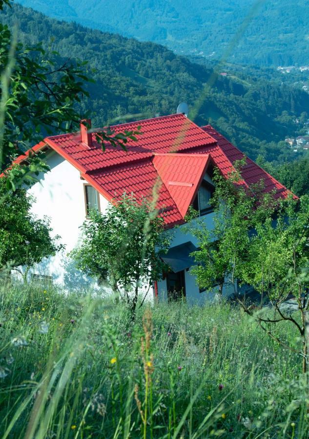 Casa Roman Vila Vişeu de Sus Exterior foto