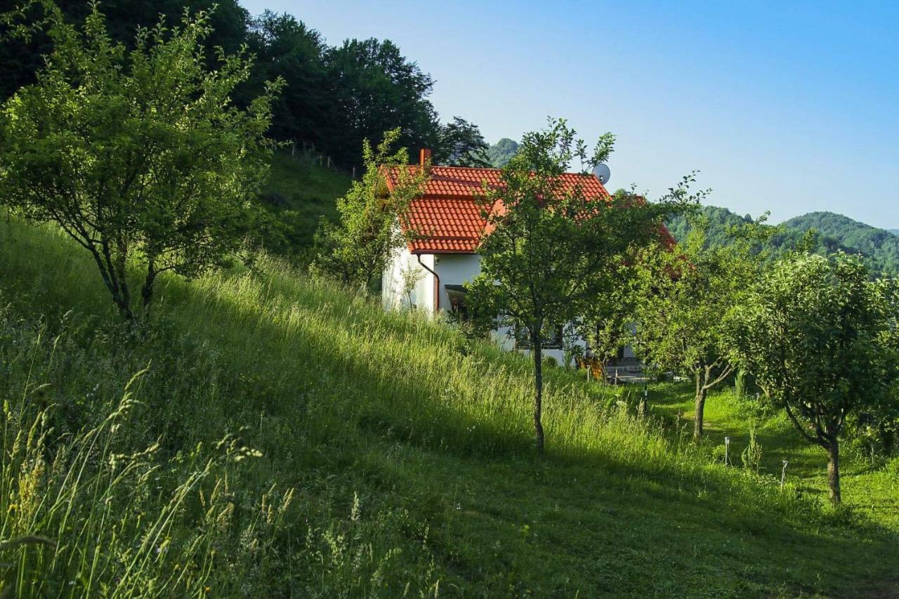 Casa Roman Vila Vişeu de Sus Exterior foto